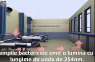 Principiul de funcționare al lămpilor bactericide Biocomp